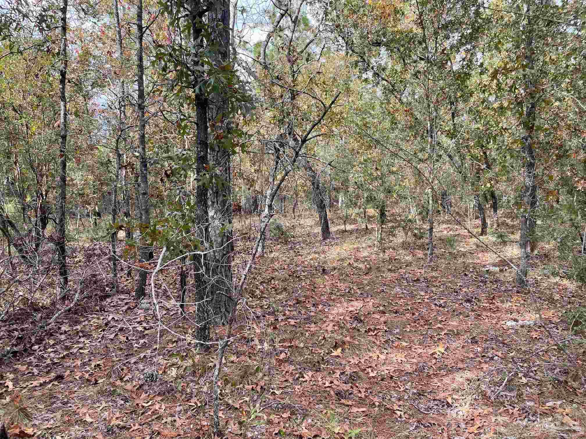 0 Deaton Bridge Road Holt, FL 32564 - Photo 11 of 16 Gallery Image 11