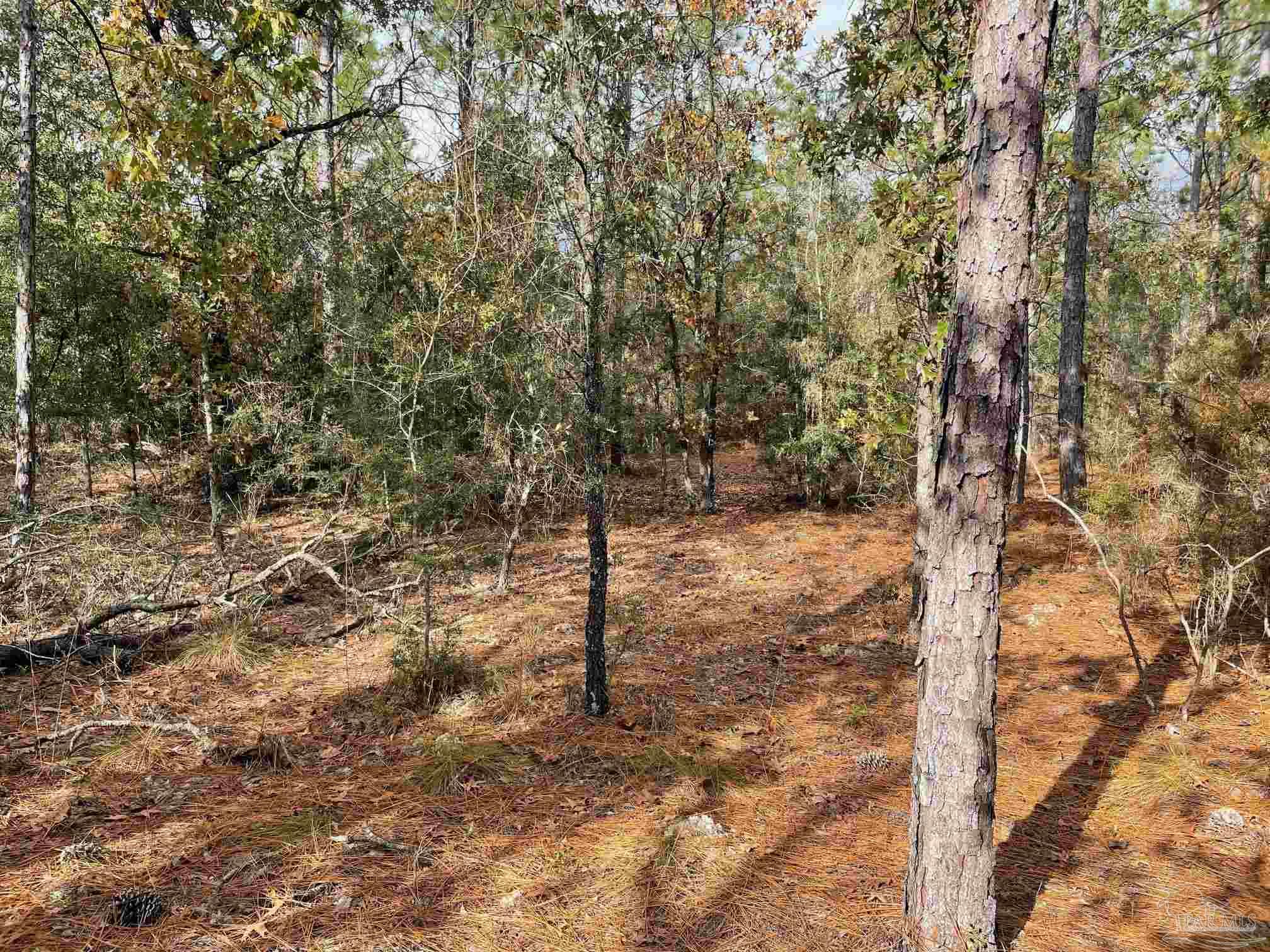 0 Deaton Bridge Road Holt, FL 32564 - Photo 12 of 16 Gallery Image 12