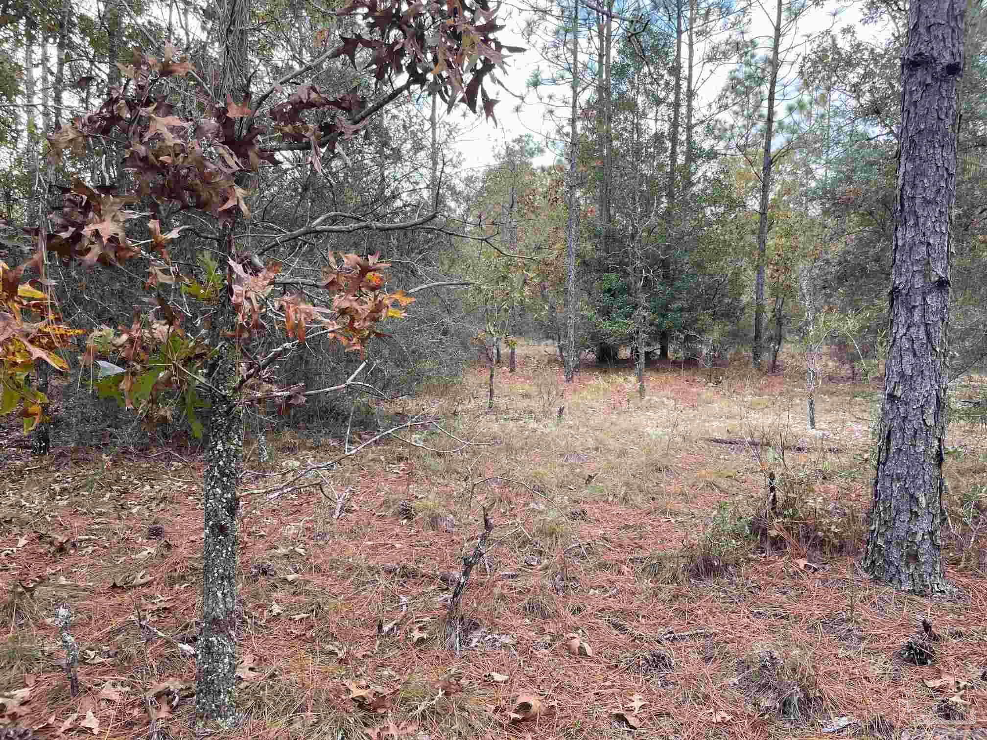 0 Deaton Bridge Road Holt, FL 32564 - Photo 13 of 16 Gallery Image 13