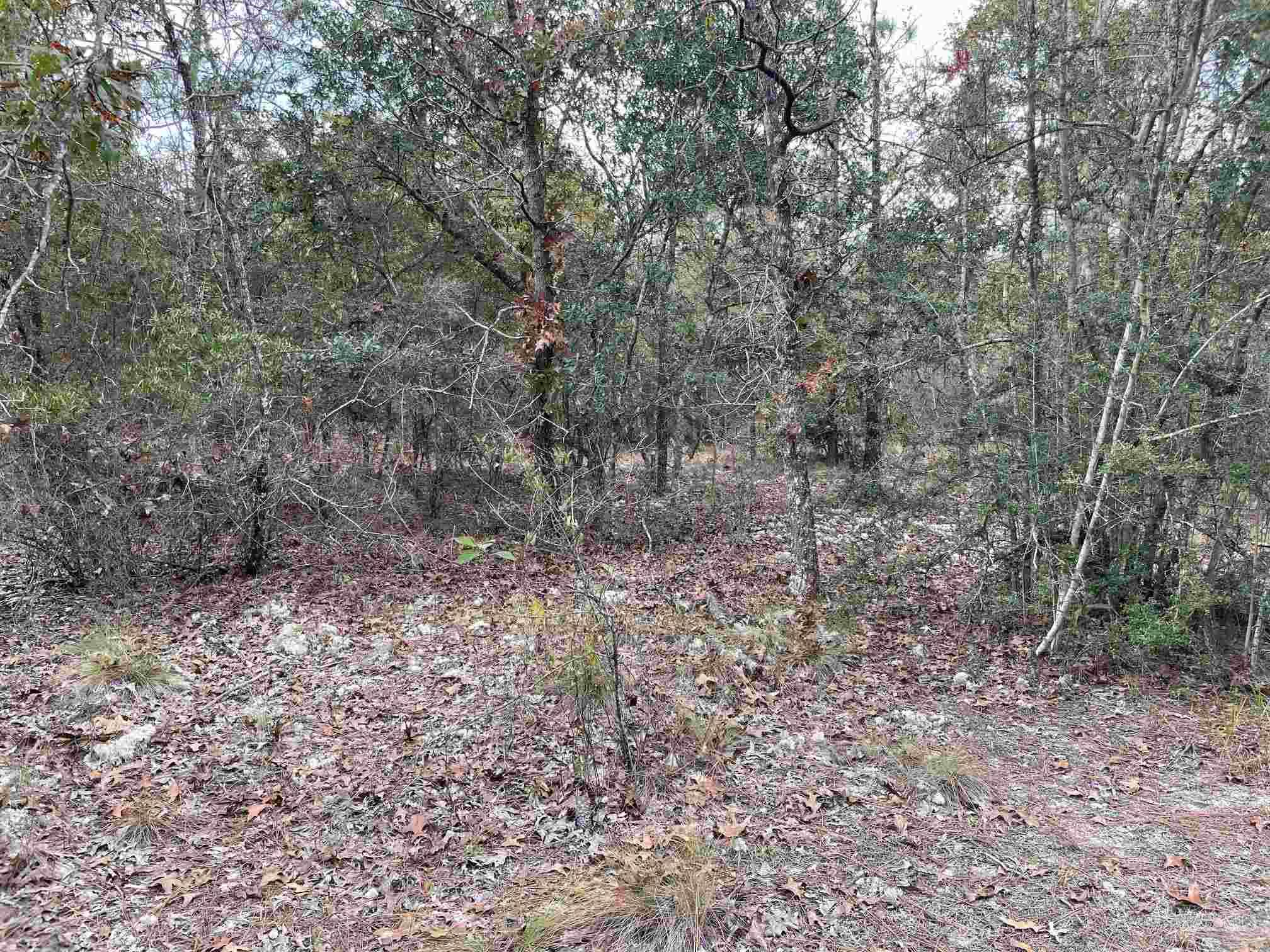 0 Deaton Bridge Road Holt, FL 32564 - Photo 15 of 16 Gallery Image 15