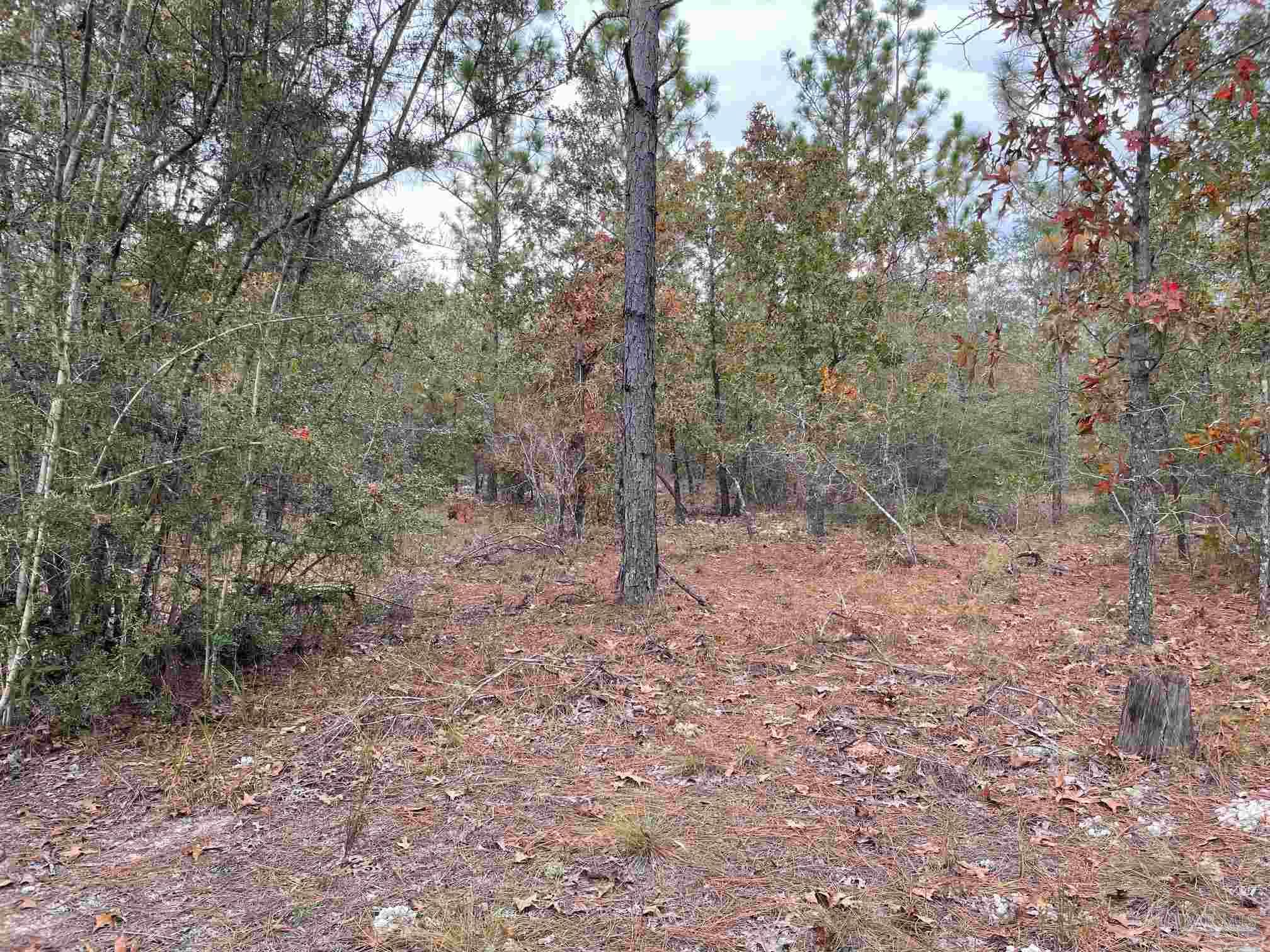 0 Deaton Bridge Road Holt, FL 32564 - Photo 16 of 16 Gallery Image 16