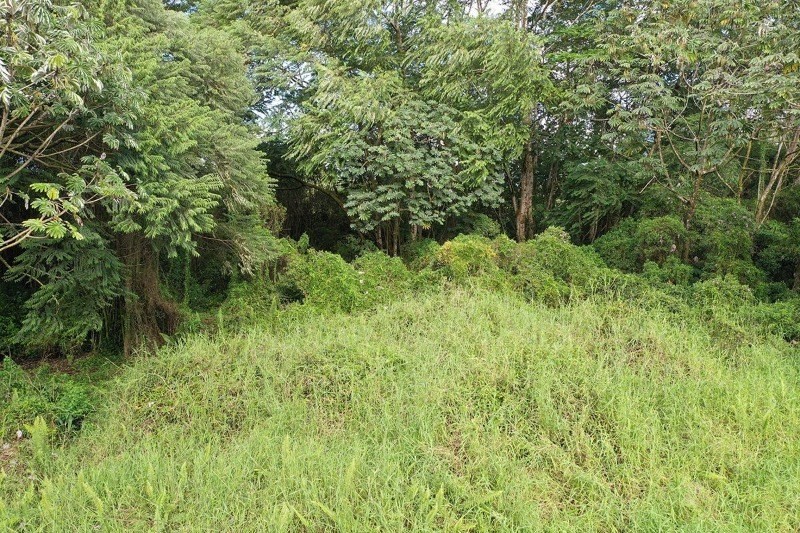 8 A Middle Road Pahoa, HI 96778 - Photo 18 of 18 Gallery Image 18