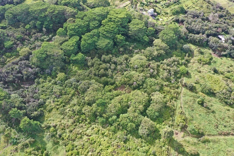 8 A Middle Road Pahoa, HI 96778 - Photo 3 of 18 Gallery Image 3
