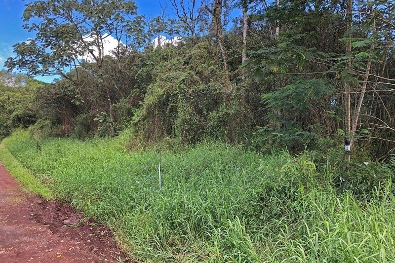 8 A Middle Road Pahoa, HI 96778 - Photo 4 of 18 Gallery Image 4