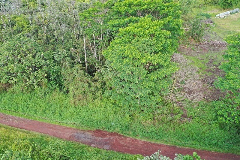8 A Middle Road Pahoa, HI 96778 - Photo 8 of 18 Gallery Image 8