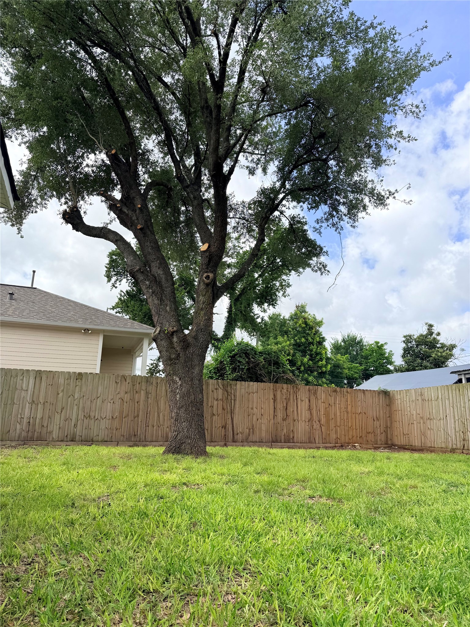 5003 Terry Street Houston, TX 77009 - Photo 2 of 21 Take a look at your backyard space with privacy fence for you to enjoy!