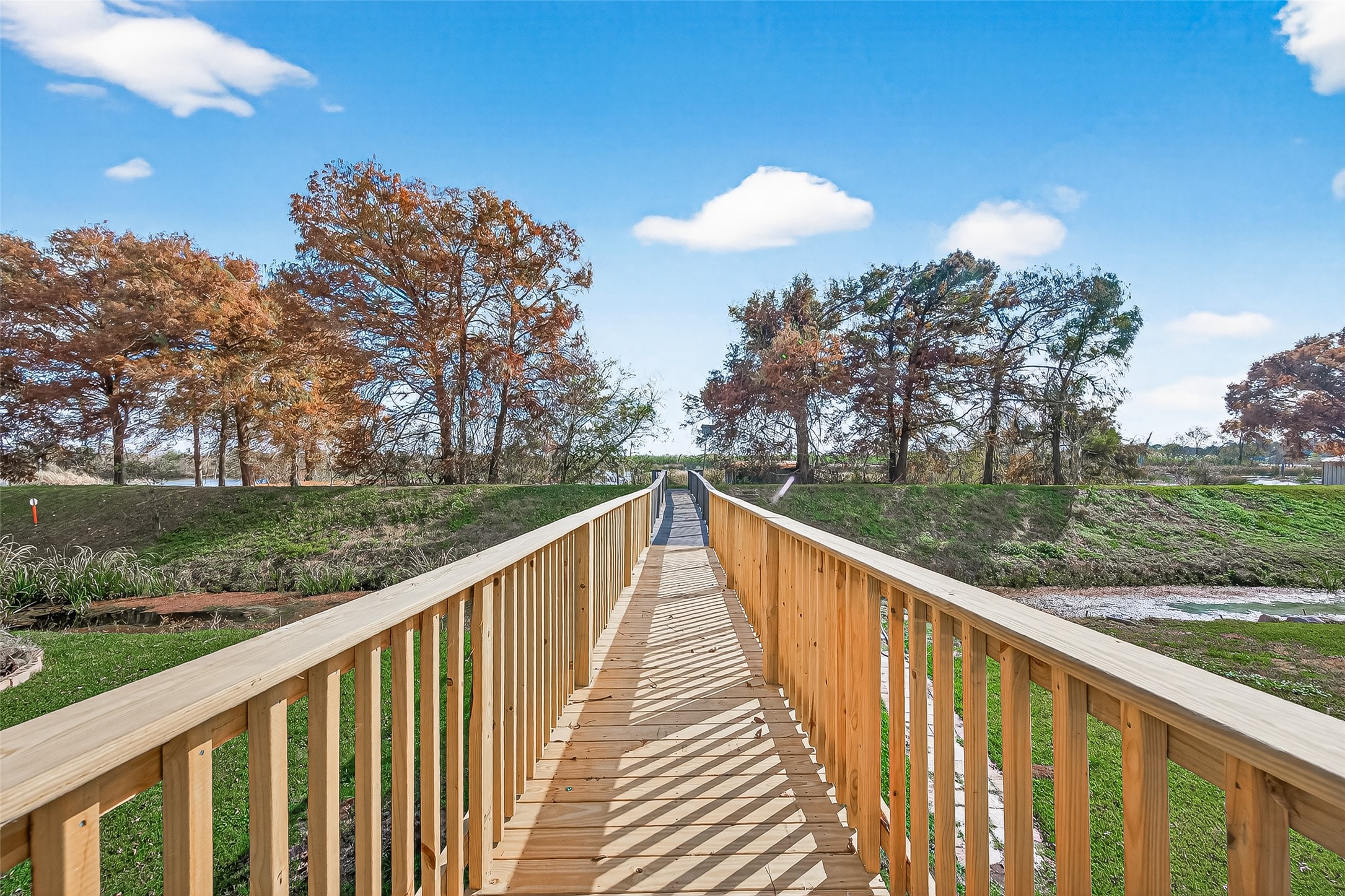 29927 County Road 25 Damon, TX 77430 - Photo 30 of 43