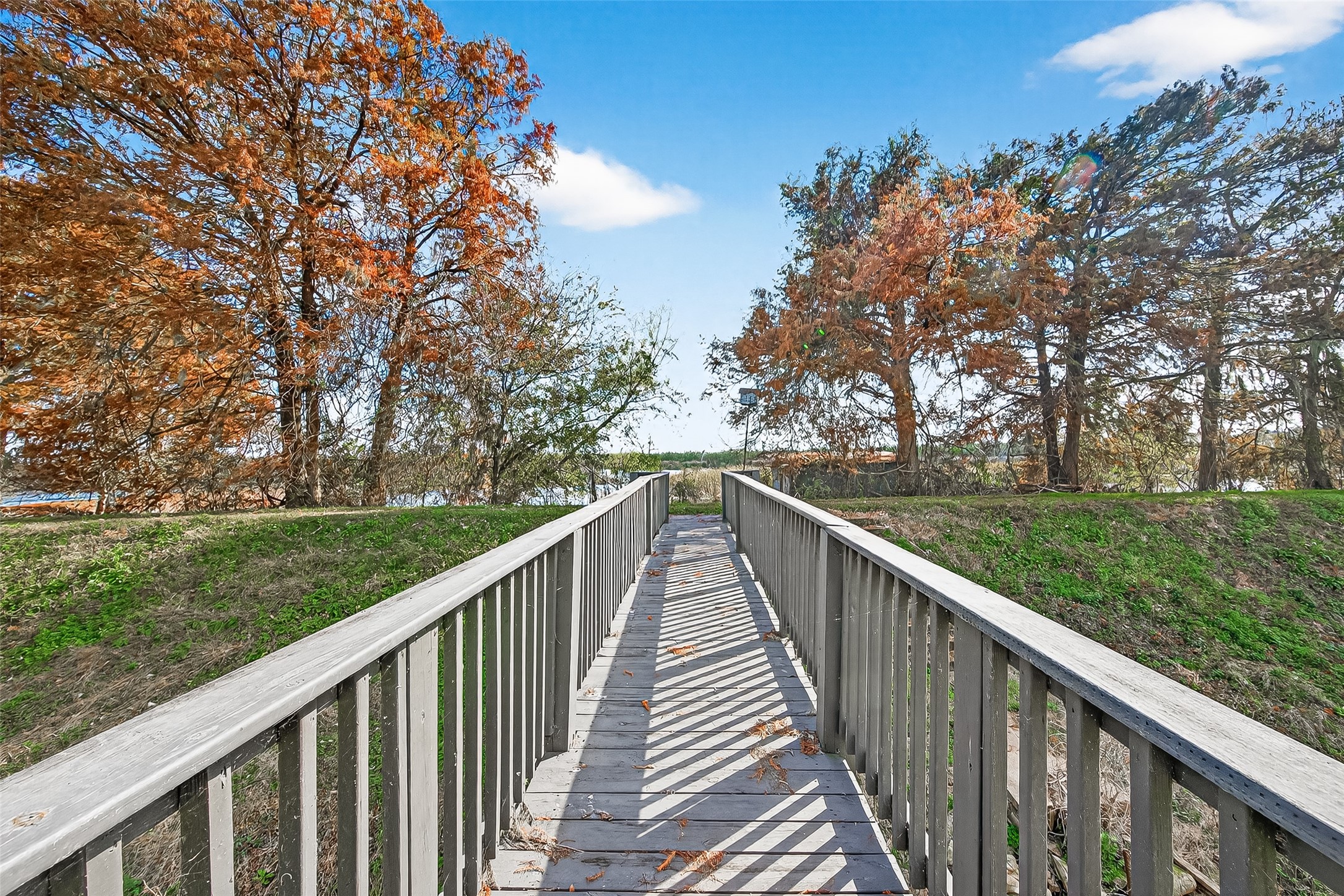 29927 County Road 25 Damon, TX 77430 - Photo 35 of 43