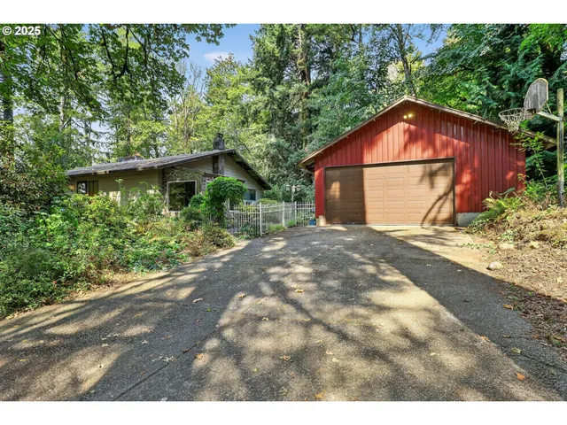 a backyard of a house with large trees and garage