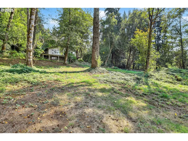 a view of outdoor space and yard