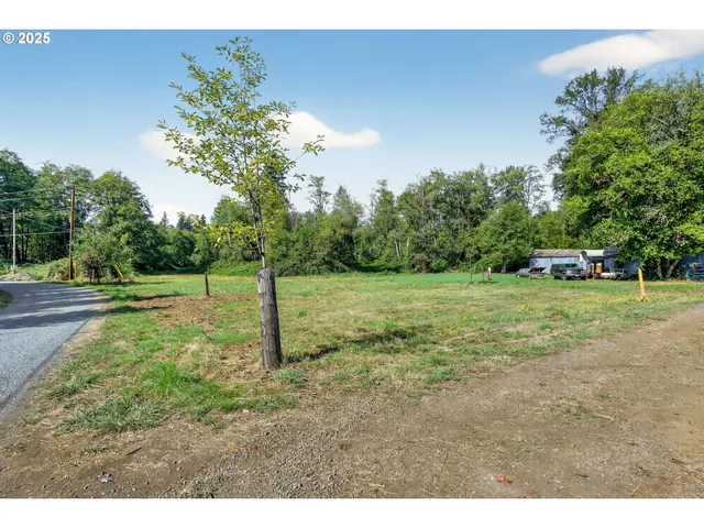 a view of a green field with trees