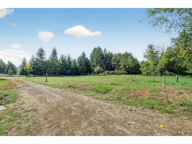 a view of a green filed