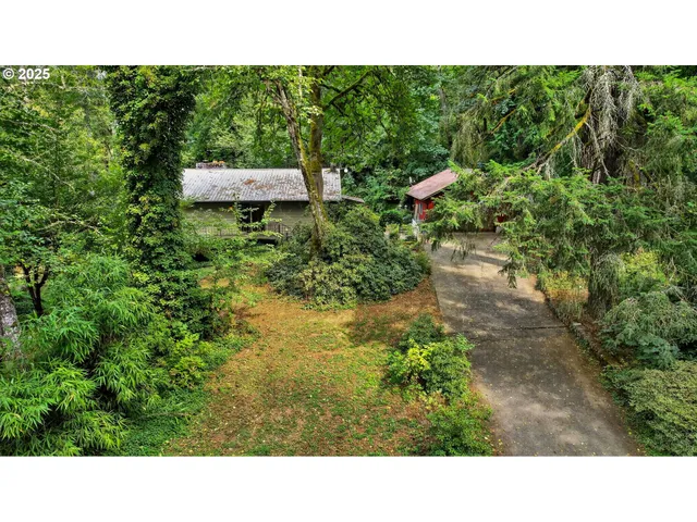 a open area with lots of green trees