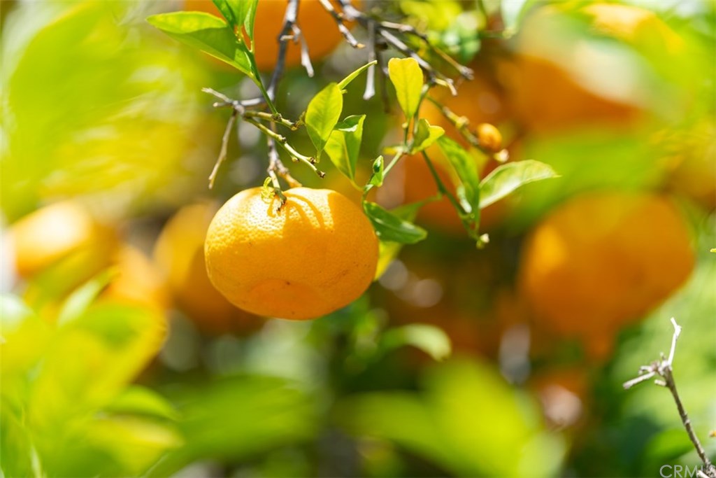 7949 Ramsgate Avenue Los Angeles, CA 90045 - Photo 24 of 26