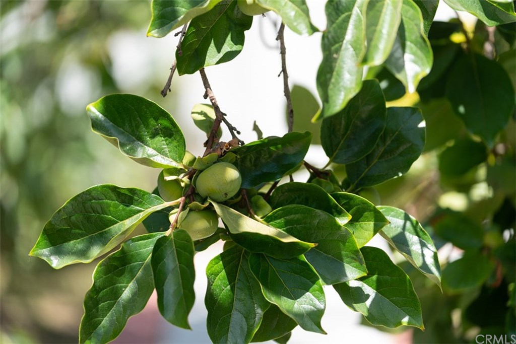 7949 Ramsgate Avenue Los Angeles, CA 90045 - Photo 25 of 26