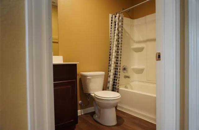 a bathroom with a shower and a toilet