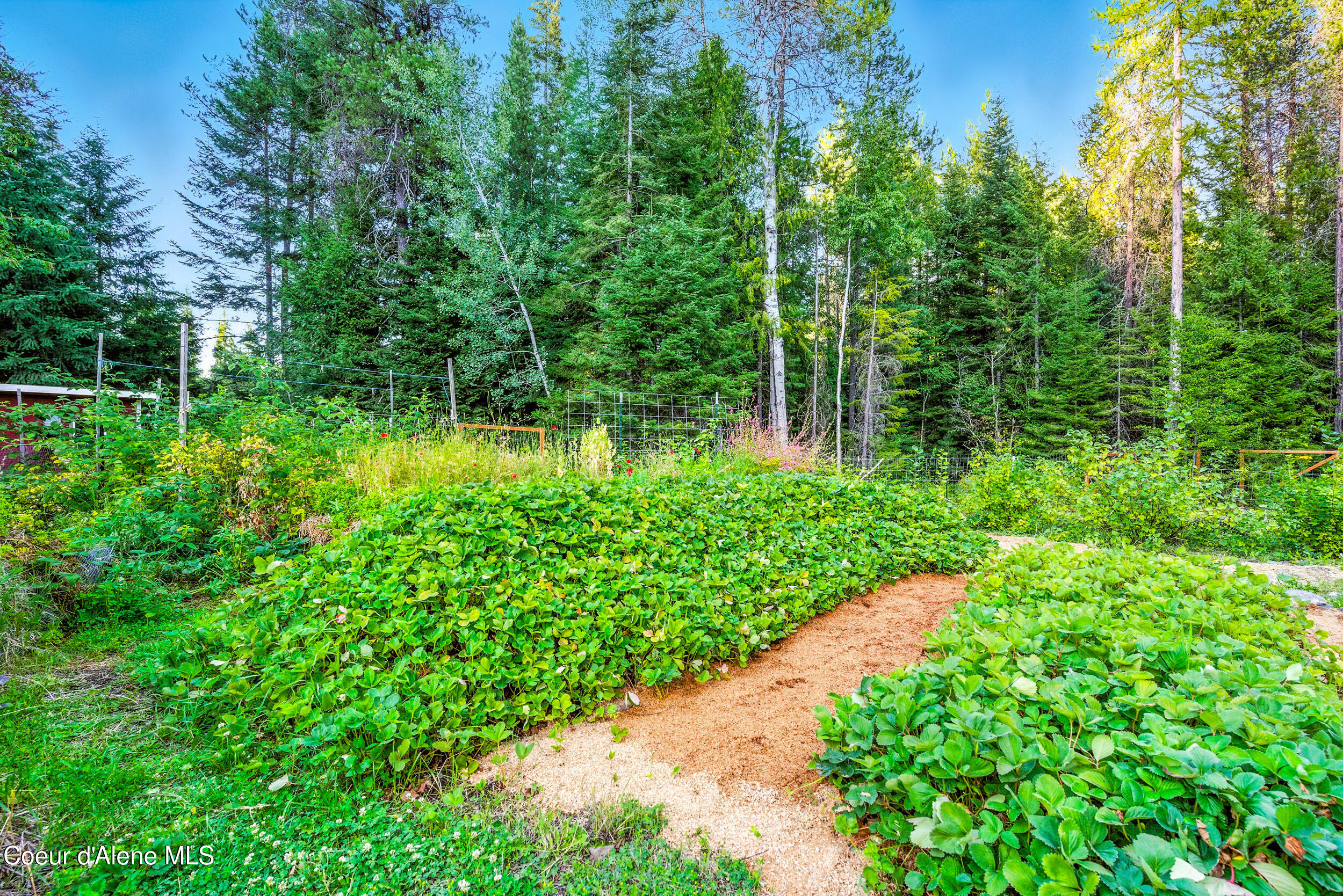 633 Old Mill Road Sandpoint, ID 83864 - Photo 34 of 50 38__dsc4846
