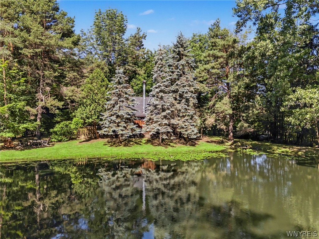 10985 Griswold Road Darien, NY 14040 - Photo 46 of 50