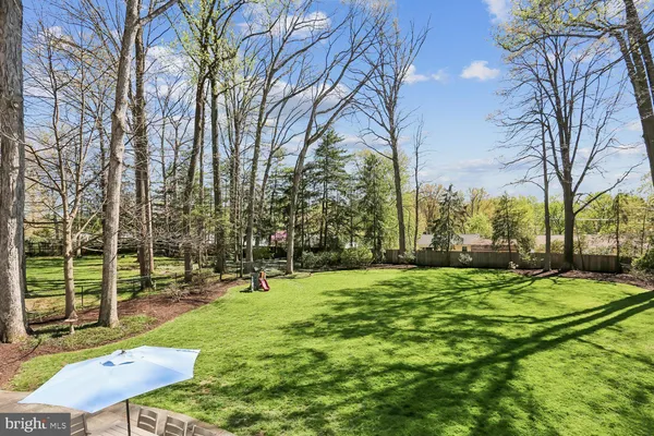 a view of a park with large trees