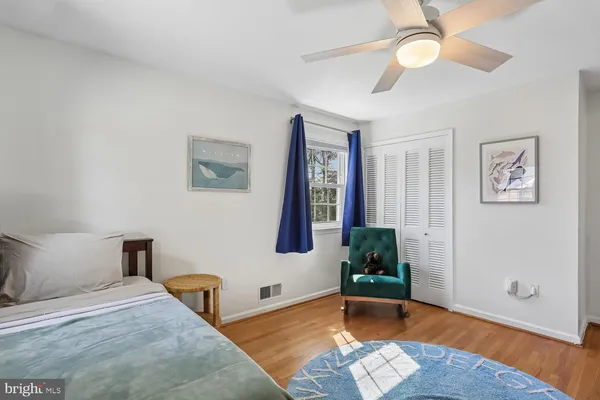 a living room with a bed furniture and a window