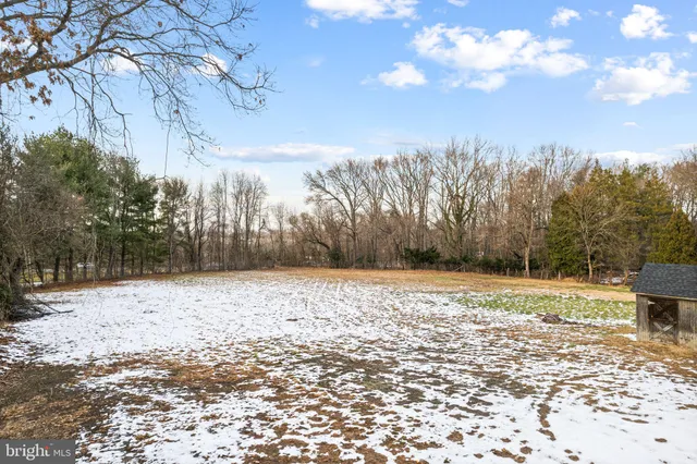 a view of a yard with trees