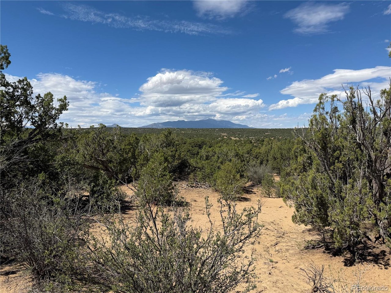 81 Twin Lakes Road Walsenburg, CO 81089 - Photo 5 of 26 Gallery Image 5