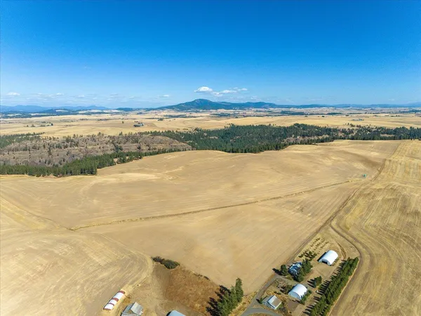 $1,600,000 | Xxx East Cornwall Road, Spangle, WA 99031
