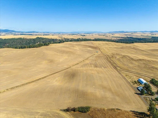 $1,600,000 | Xxx East Cornwall Road, Spangle, WA 99031