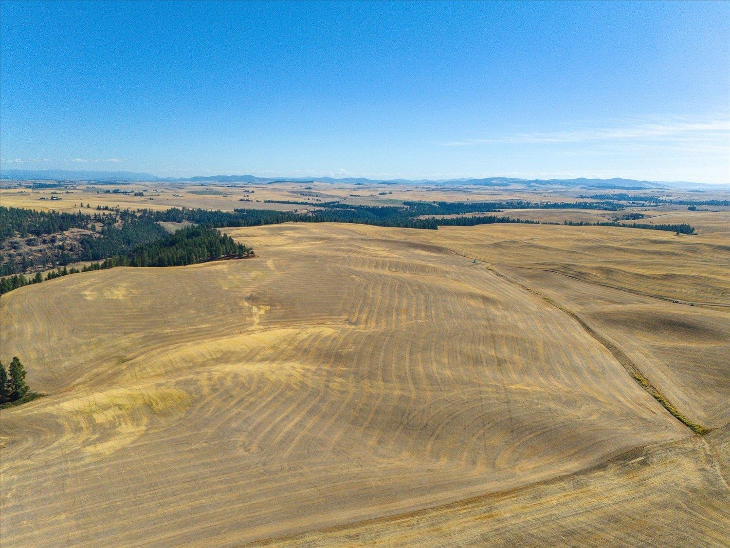 Xxx East Cornwall Road Spangle, WA 99031 - Photo 14 of 45