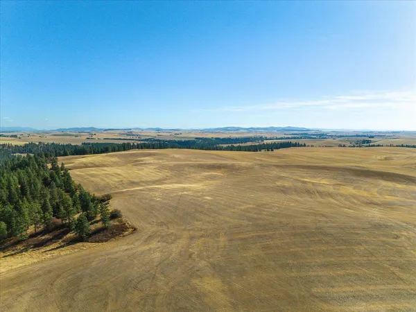 $1,600,000 | Xxx East Cornwall Road, Spangle, WA 99031