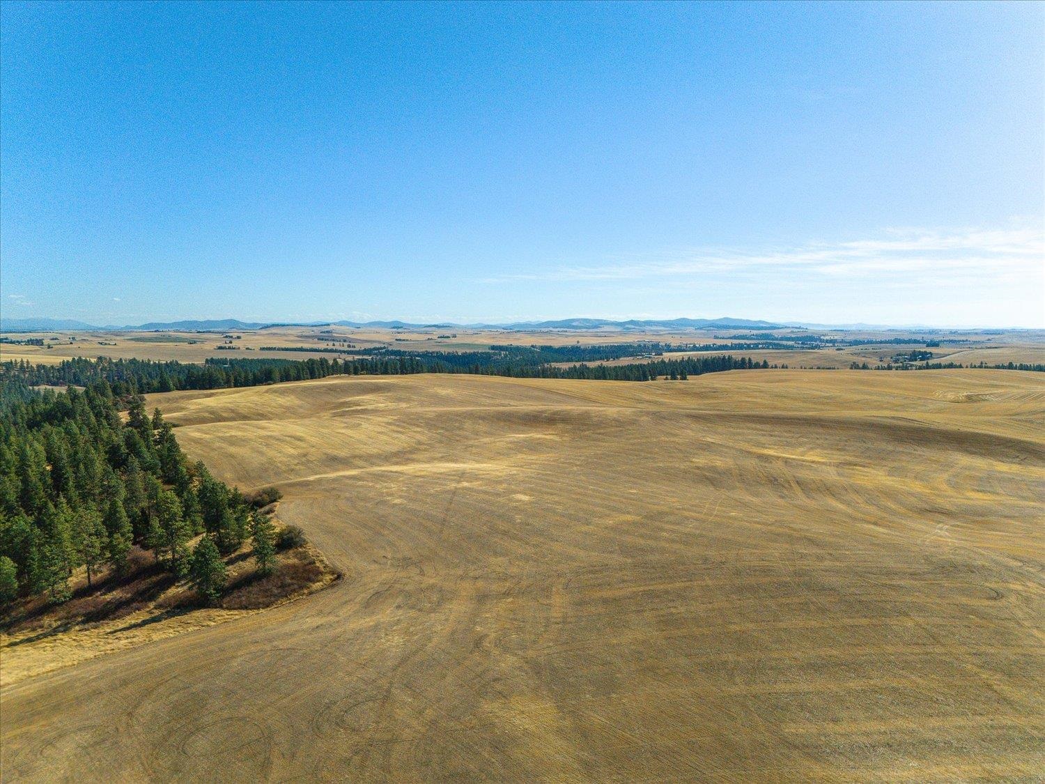 Xxx East Cornwall Road Spangle, WA 99031 - Photo 15 of 45