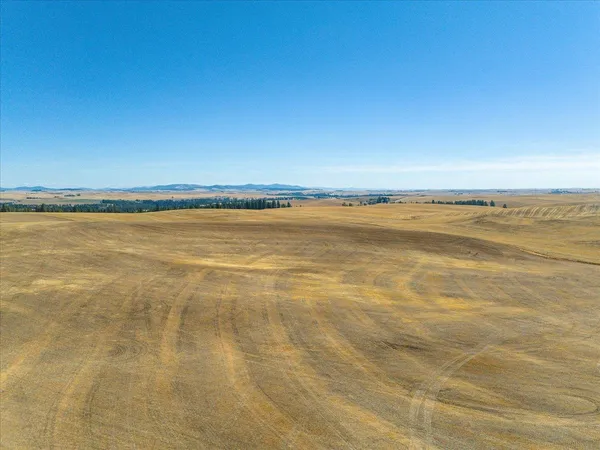 $1,600,000 | Xxx East Cornwall Road, Spangle, WA 99031