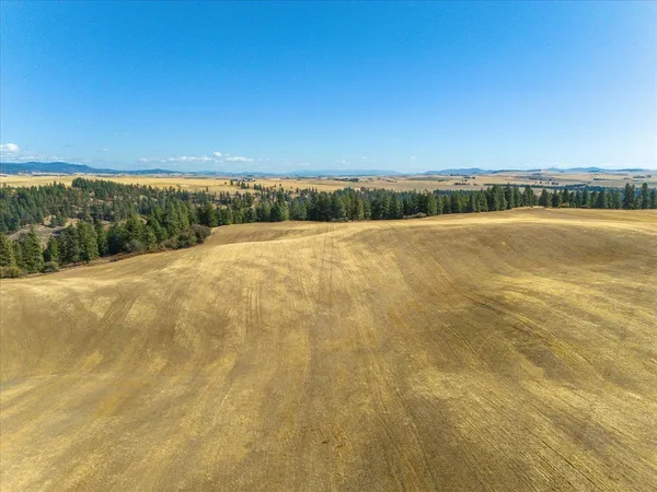 $1,600,000 | Xxx East Cornwall Road, Spangle, WA 99031