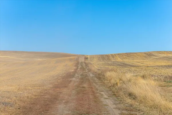 $1,600,000 | Xxx East Cornwall Road, Spangle, WA 99031