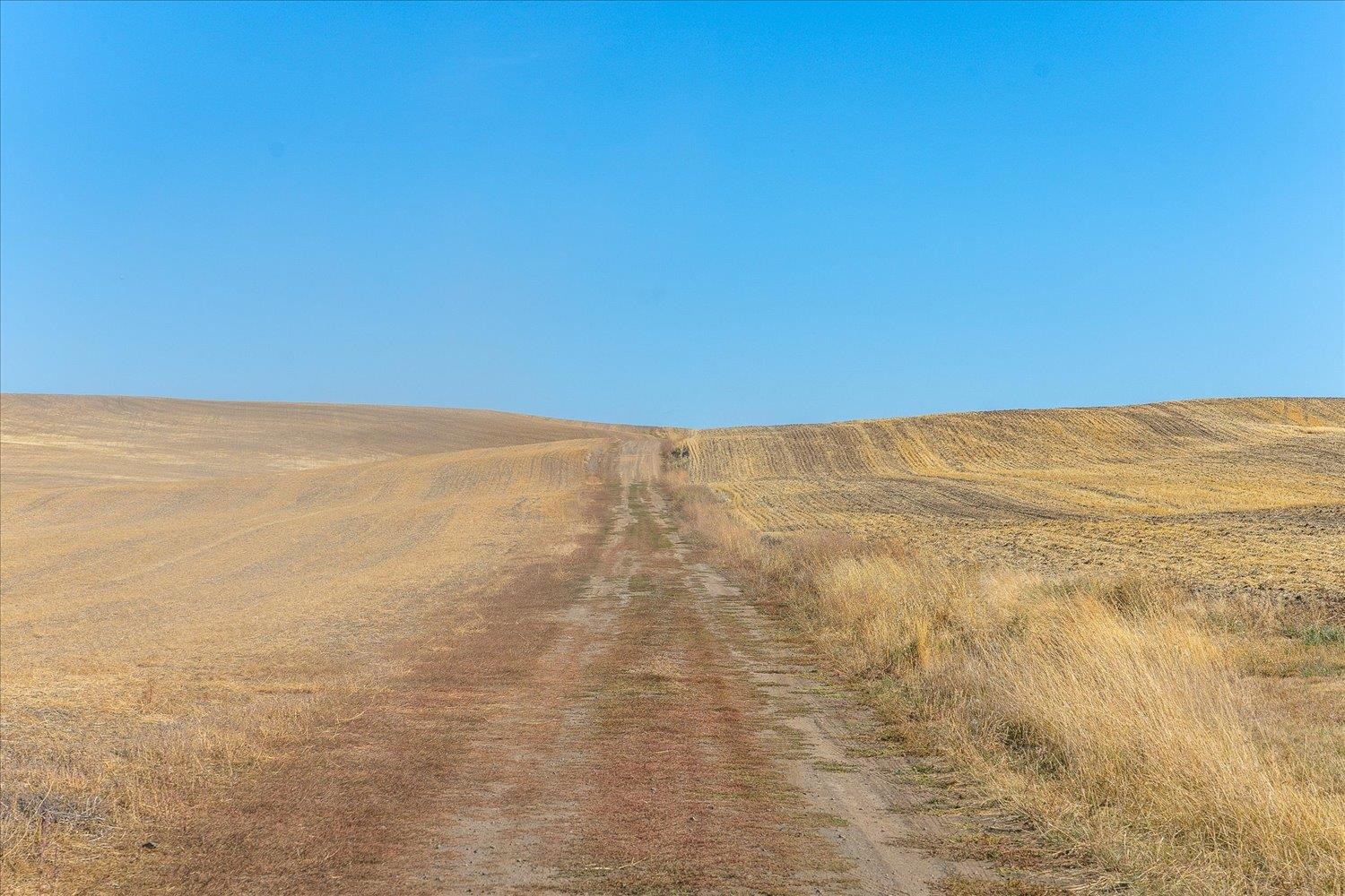 Xxx East Cornwall Road Spangle, WA 99031 - Photo 20 of 45