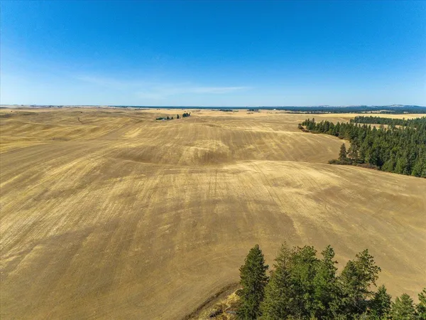 $1,600,000 | Xxx East Cornwall Road, Spangle, WA 99031