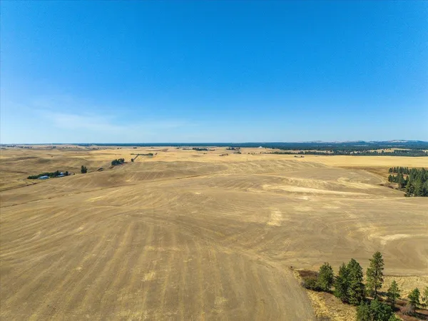 $1,600,000 | Xxx East Cornwall Road, Spangle, WA 99031