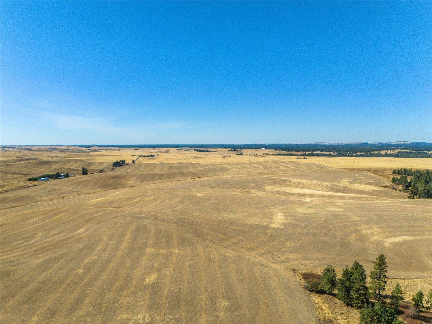 Xxx East Cornwall Road Spangle, WA 99031 - Photo 23 of 45