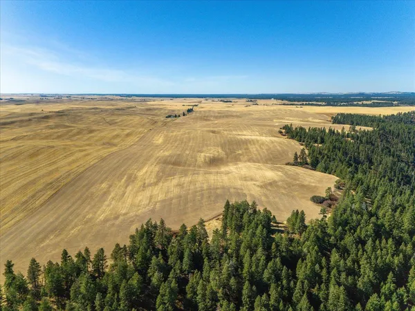 $1,600,000 | Xxx East Cornwall Road, Spangle, WA 99031