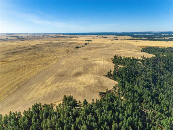 $1,600,000 | Xxx East Cornwall Road, Spangle, WA 99031