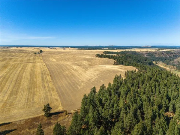 $1,600,000 | Xxx East Cornwall Road, Spangle, WA 99031