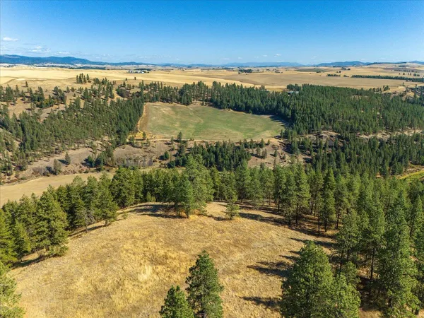 $1,600,000 | Xxx East Cornwall Road, Spangle, WA 99031