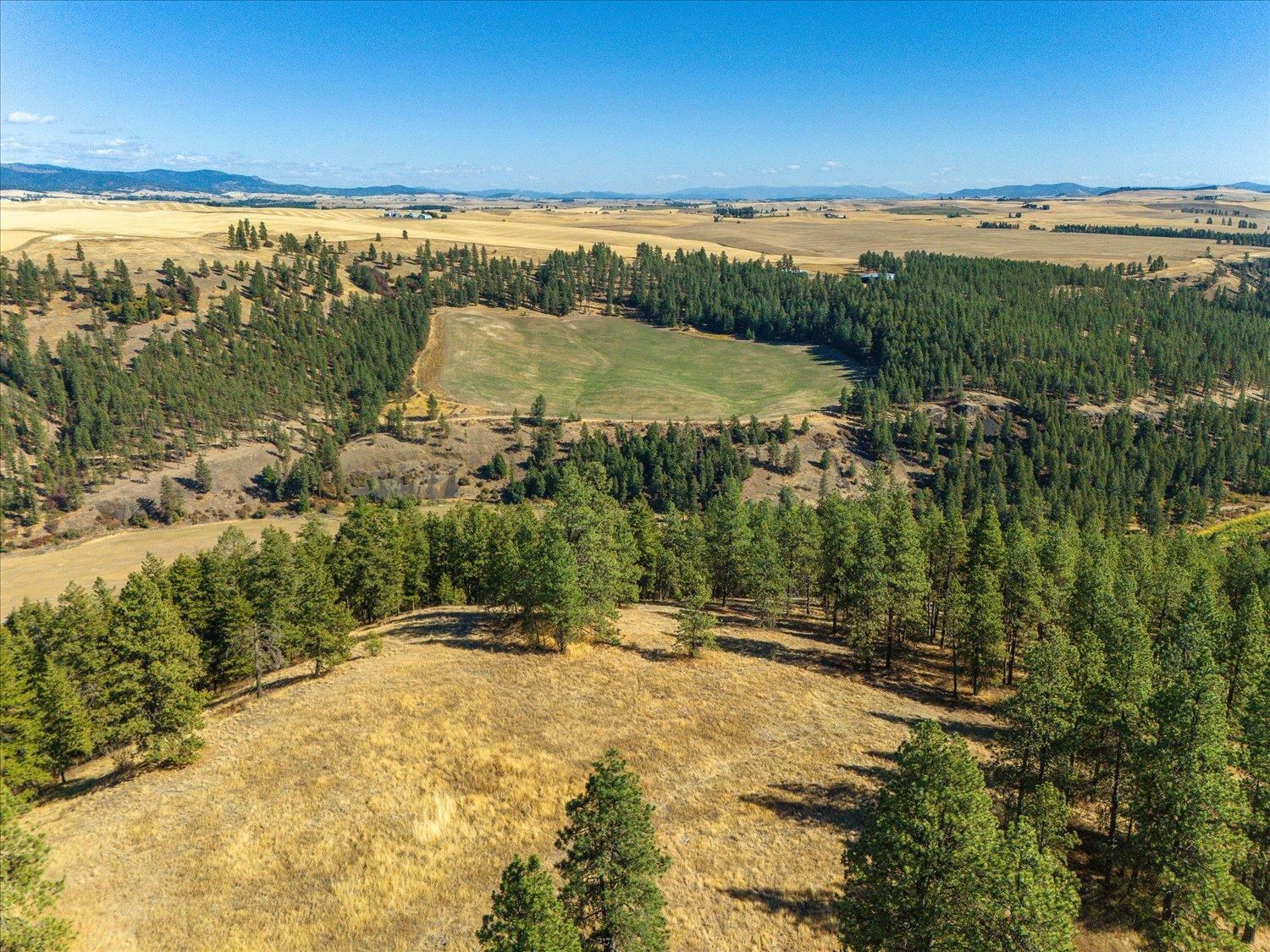 Xxx East Cornwall Road Spangle, WA 99031 - Photo 27 of 45