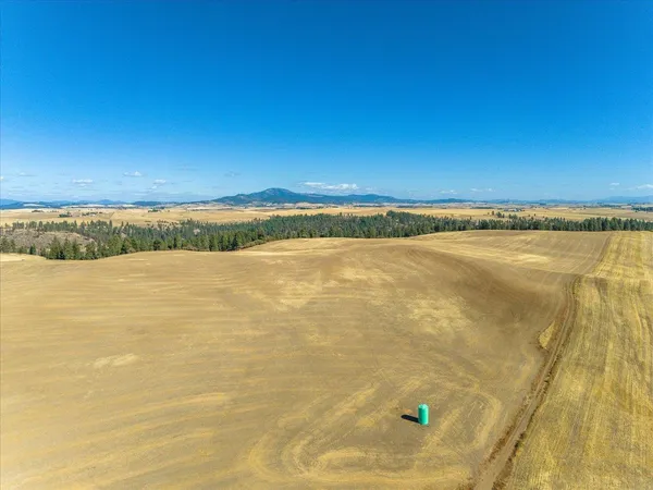 $1,600,000 | Xxx East Cornwall Road, Spangle, WA 99031