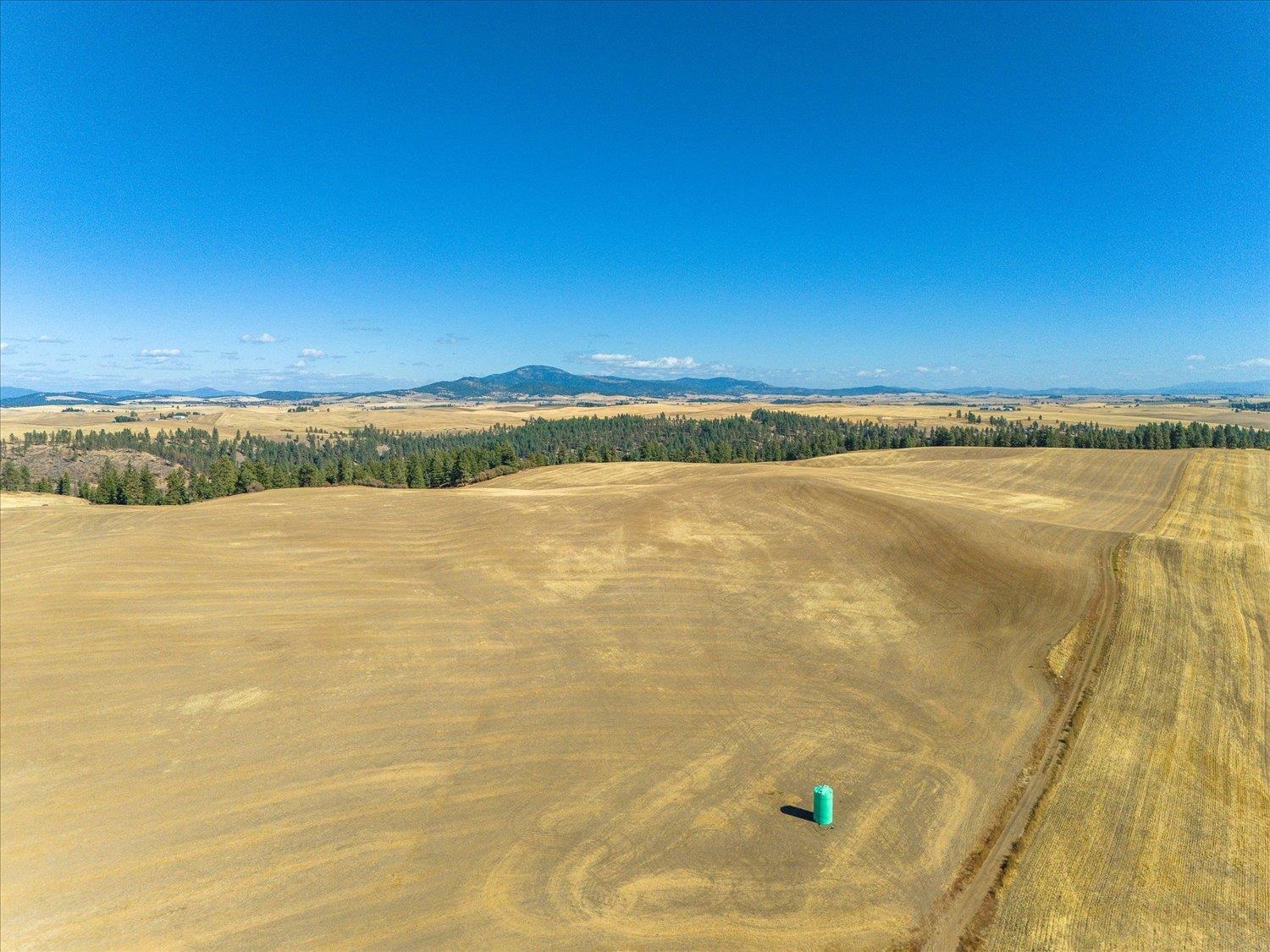 Xxx East Cornwall Road Spangle, WA 99031 - Photo 28 of 45