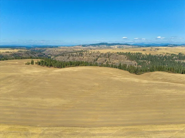 $1,600,000 | Xxx East Cornwall Road, Spangle, WA 99031
