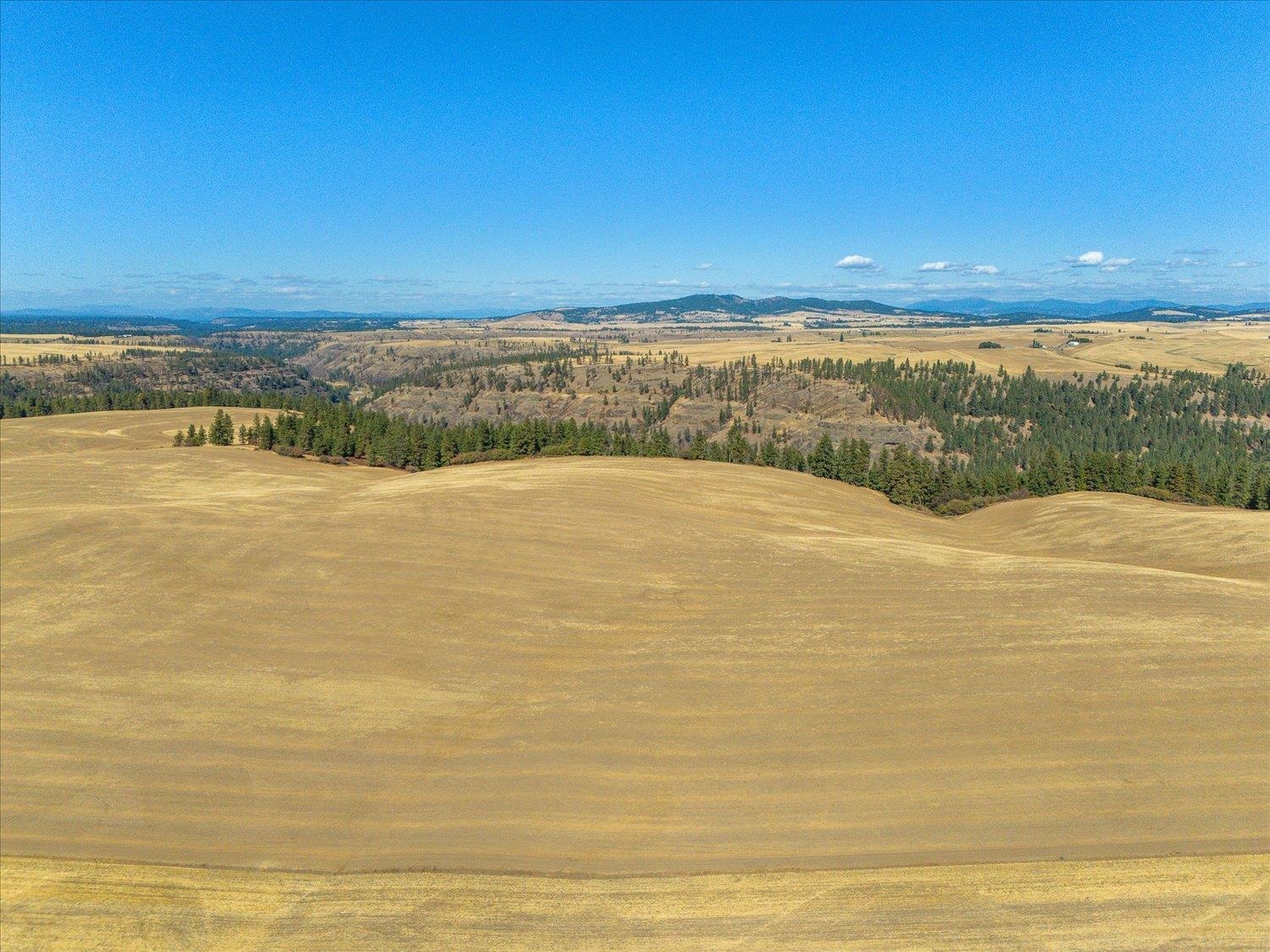 Xxx East Cornwall Road Spangle, WA 99031 - Photo 29 of 45