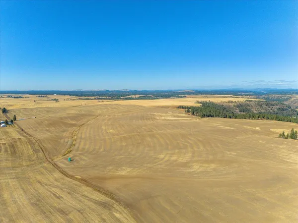 $1,600,000 | Xxx East Cornwall Road, Spangle, WA 99031