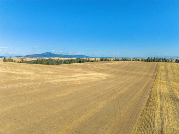 $1,600,000 | Xxx East Cornwall Road, Spangle, WA 99031