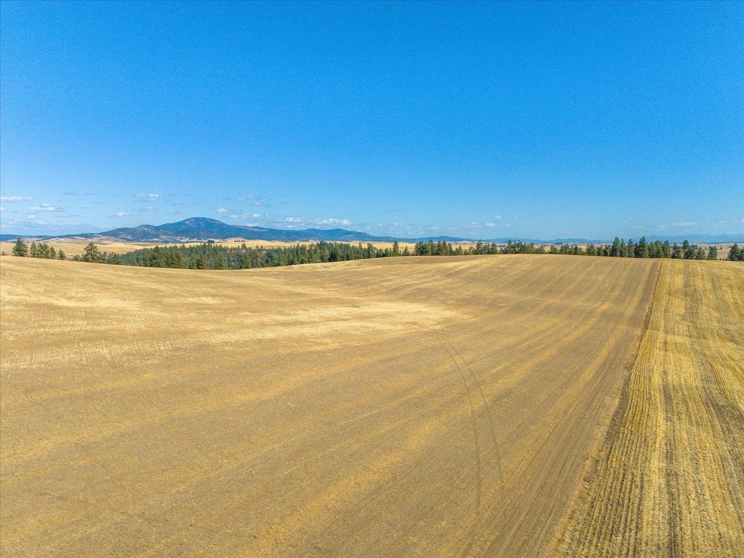 Xxx East Cornwall Road Spangle, WA 99031 - Photo 31 of 45